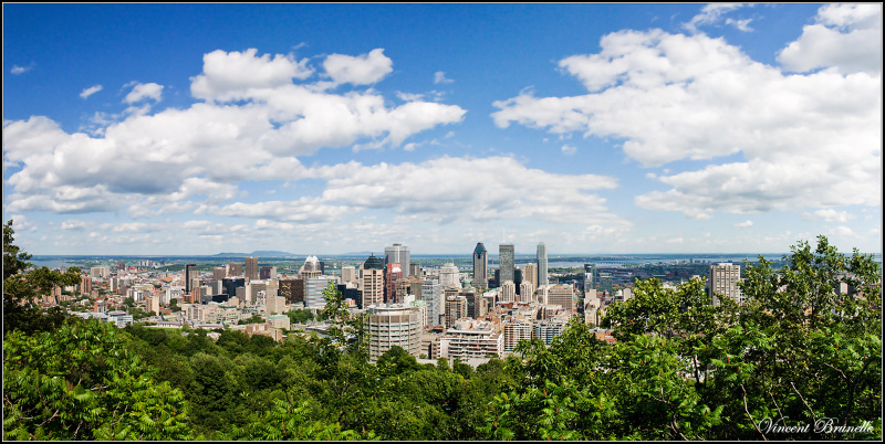 Montreal Pano Finished Smaller.jpg